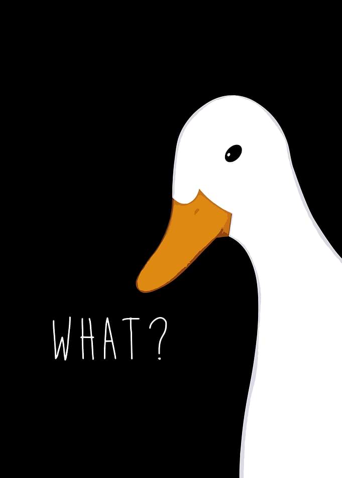 untitled goose game a0