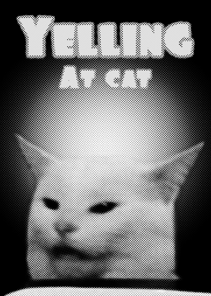 Yelling at cat
