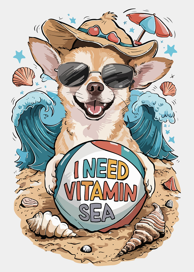 Funny Dogs Summer