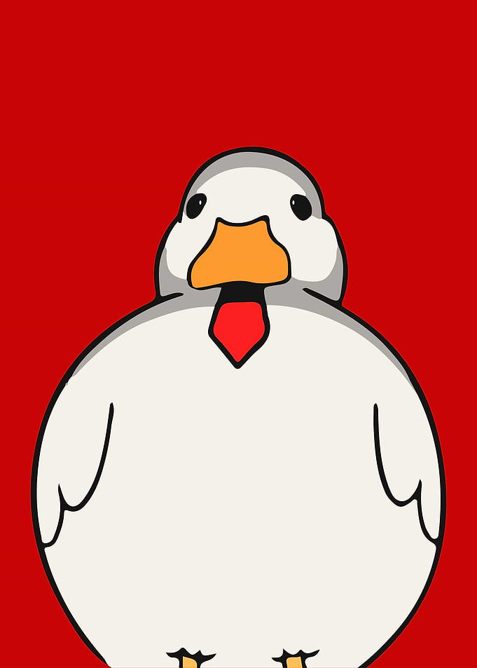 Funny Duck Goose Animals