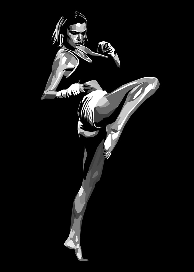 Female Fighter Pop Art