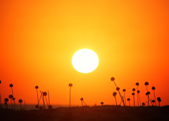 sunset light particles