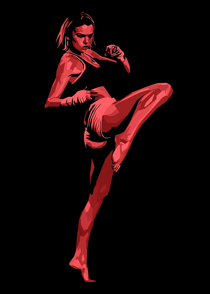 Female Fighter Pop Art