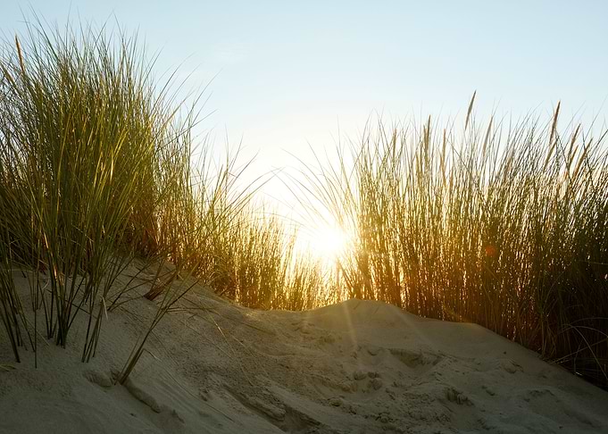 Sunset in the dunes