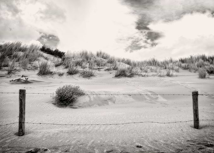 The Sand Dune