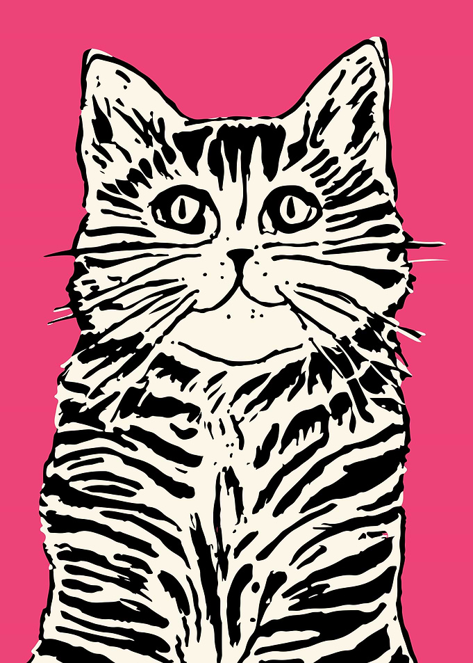 Funny Pink Feline
