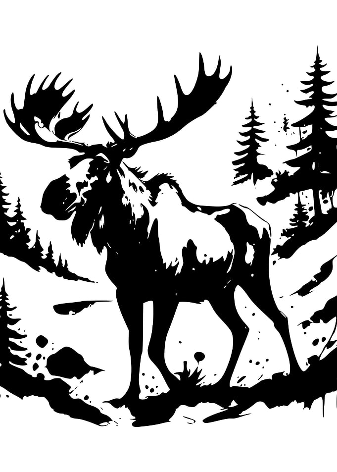 Moose