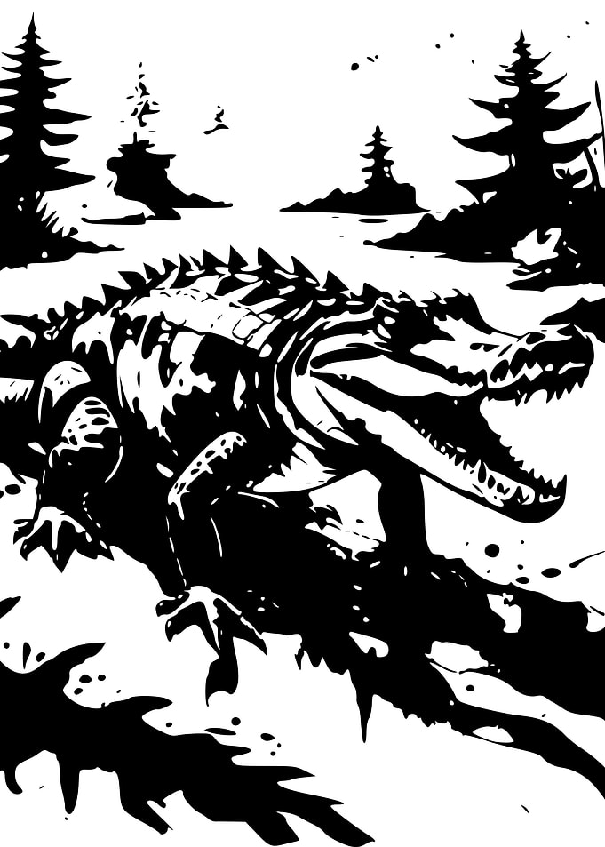 Alligator