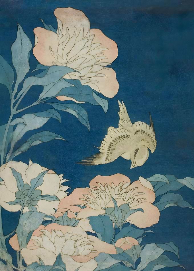 Edo Blossom Flight