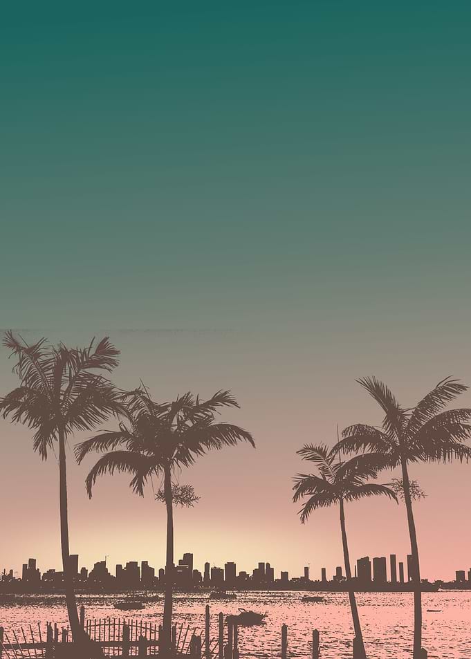 palm in sunset