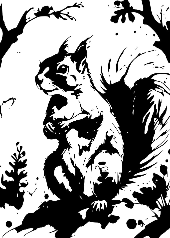 Squirrel