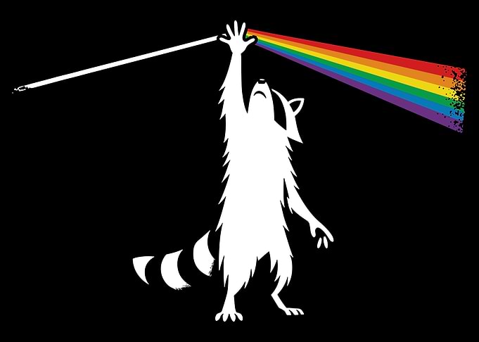 Funny Raccoon Rock Music