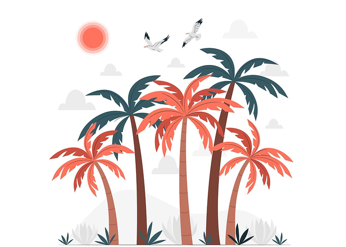 Palm Trees Vibes