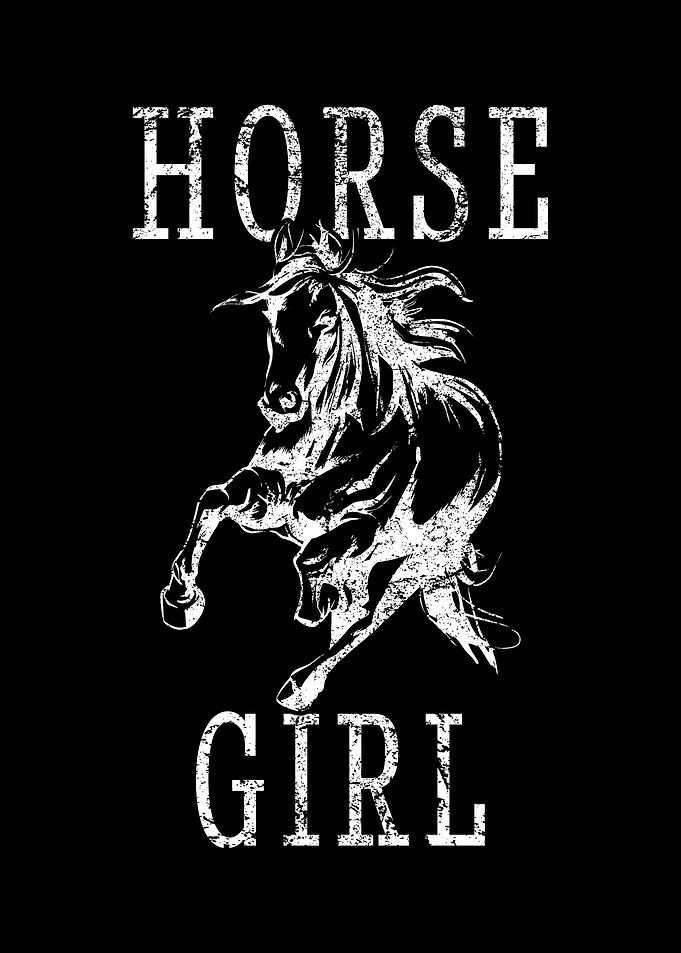Gallop Horse Fan Horse