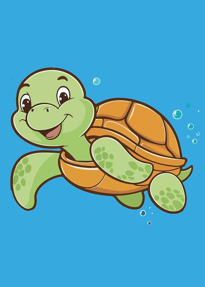 Turtles Summertime
