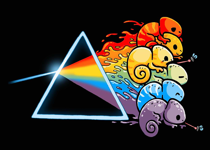 Rainbow chameleon