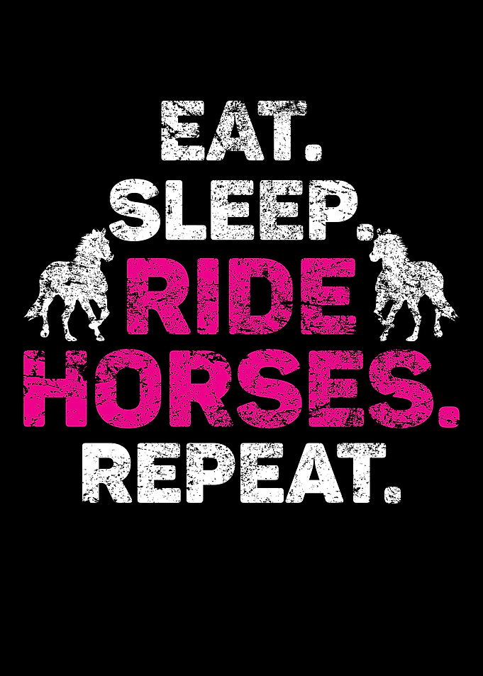 Horse Fan Racing Riding
