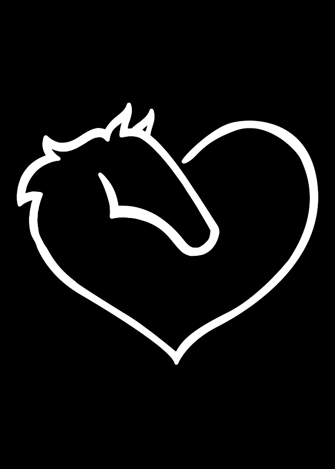 Horse Fan Horse Riding