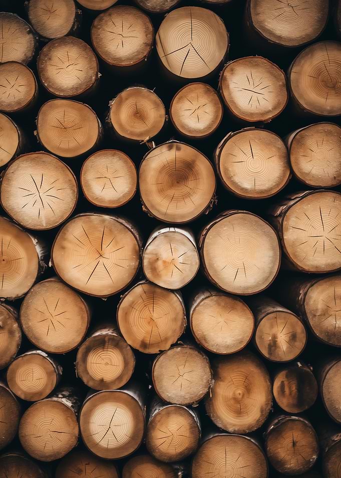 Wooden cut tree