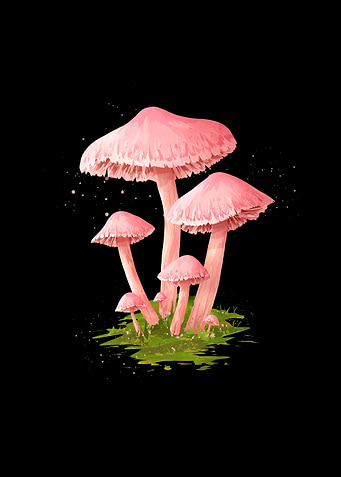 Latest drop