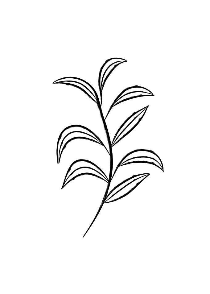 Aesthetic Leaves