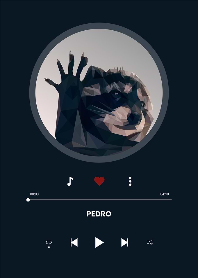 pedro pedro pedro meme