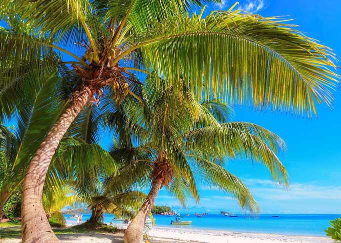 Exotic Beach Travel Ocean
