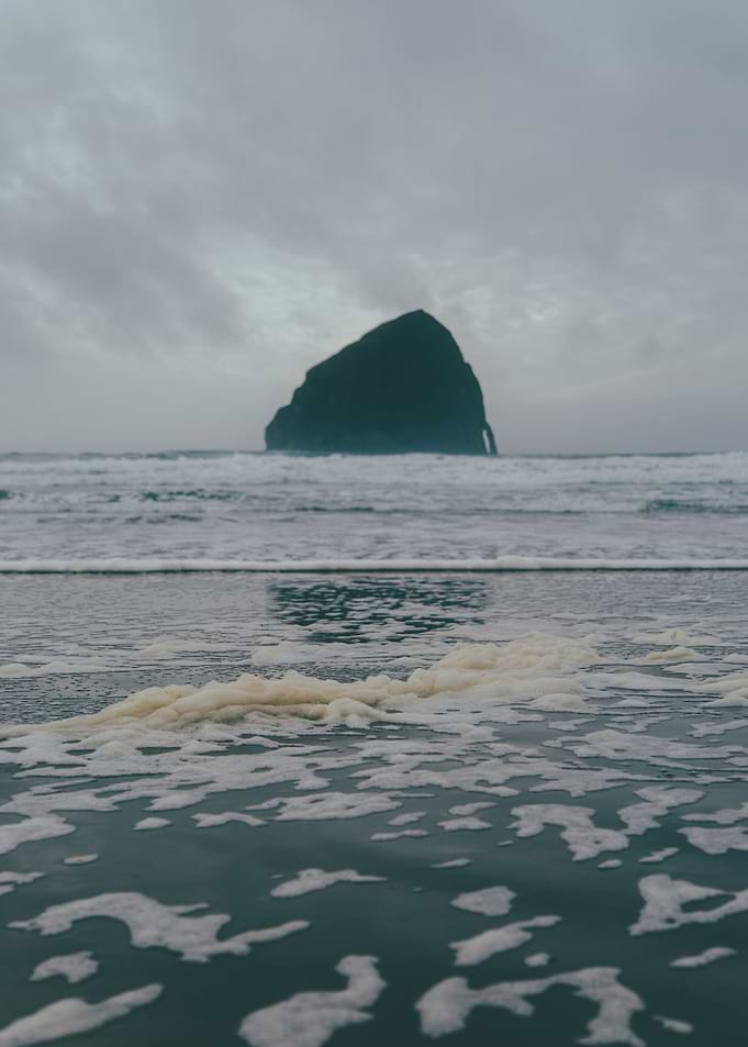 Kiwanda Foam