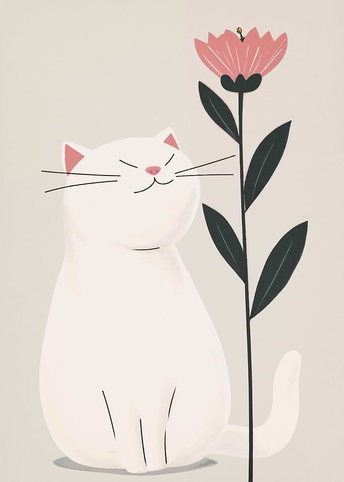 Cat cute animal