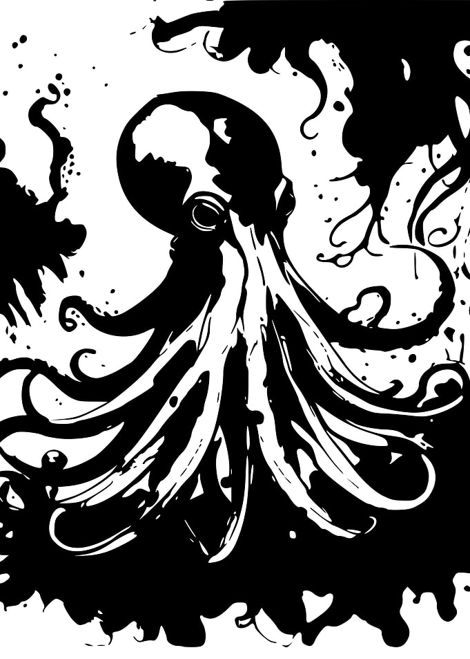 Squid