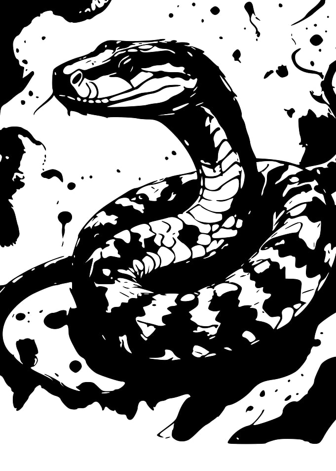 Cottonmouth Snake