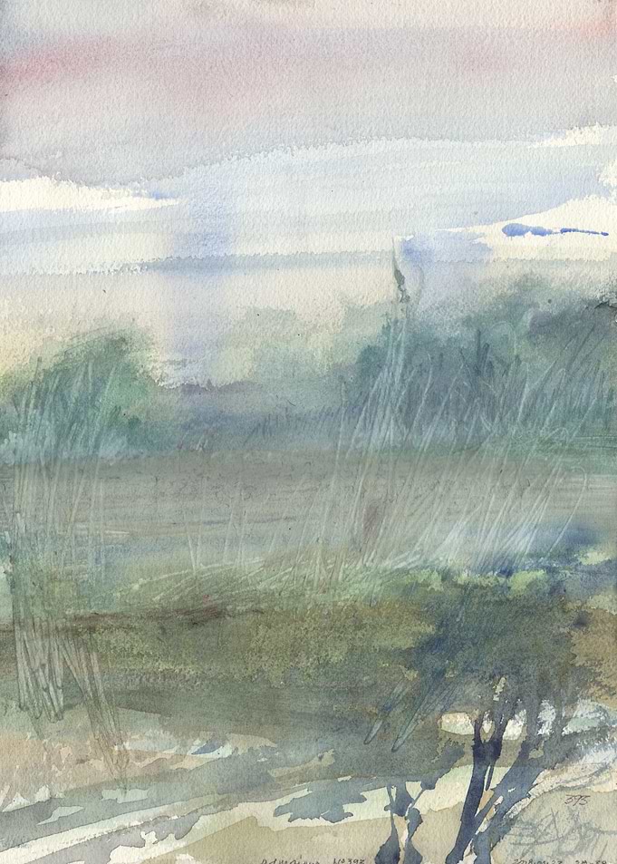 N393 Paysage nuageux