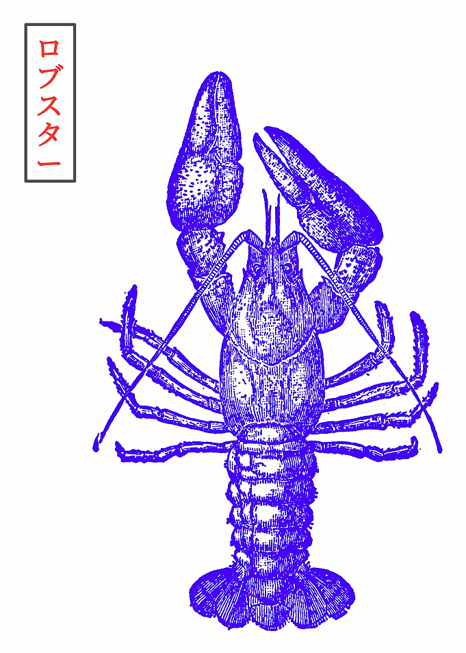 Lobster