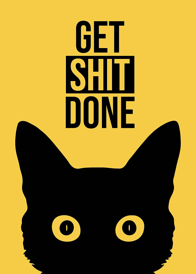 Cat Staring Get Shit Done