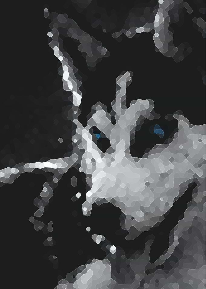 Abstract Husky