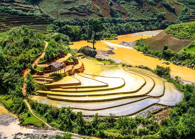 Beauty of watered fields