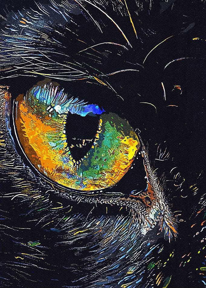 Eyes Animals
