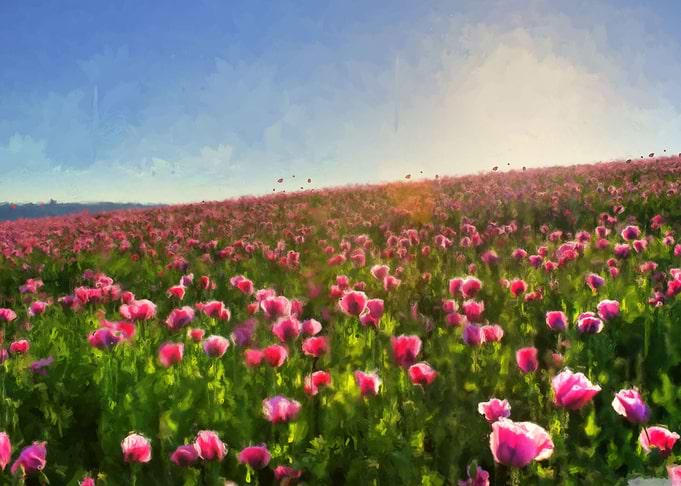 beauty of nature