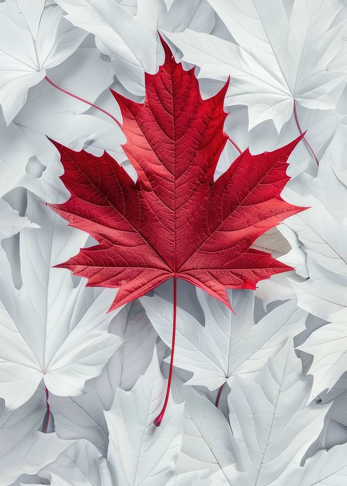 Canadian Leaves