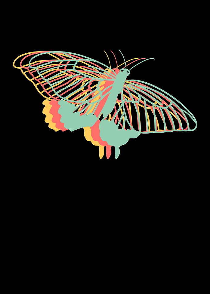 Explore Butterfly