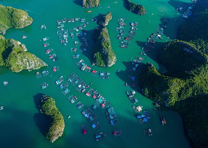 Lan Ha Bay Aerial View