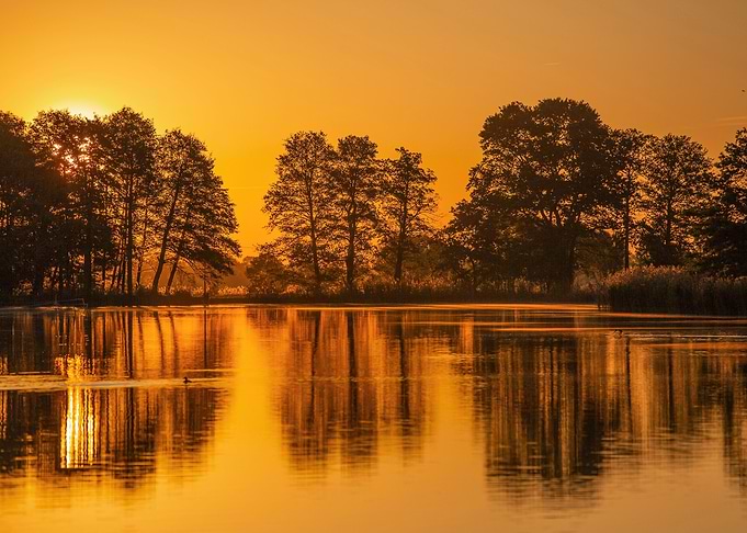 Sunrise