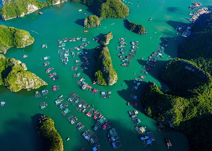 Lan Ha Bay Aerial View