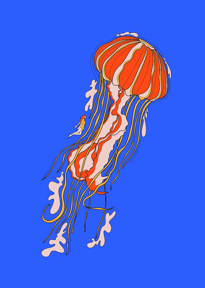 The giant jellyfish
