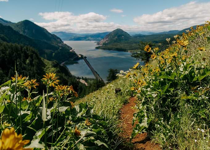 Wildflower Gorge