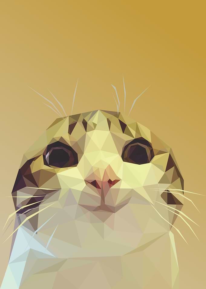 funny smiling cat