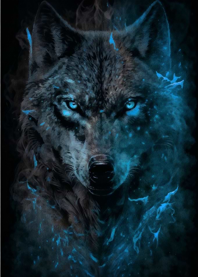 black wolf with blue eyes