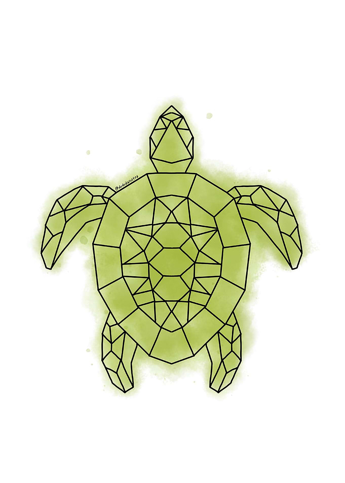 Turtle geometric
