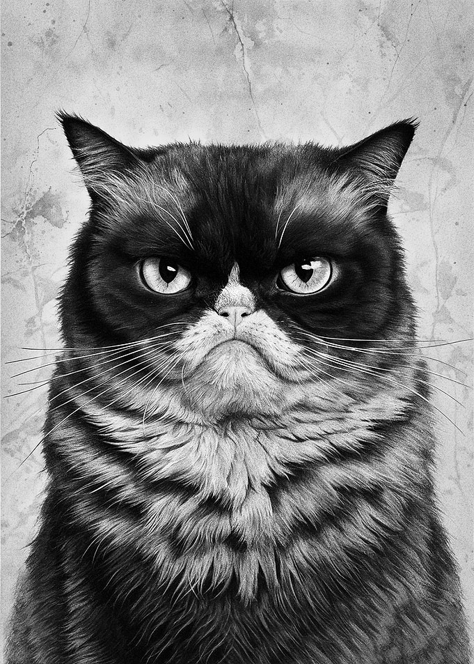 Portrait of Discontent