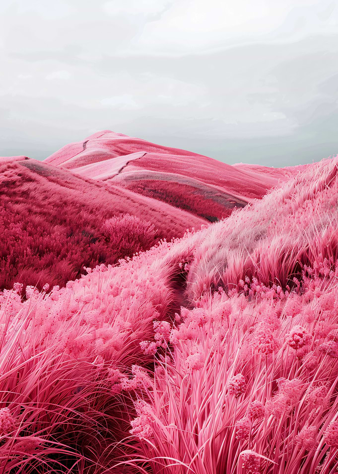 Pink Sand Dunes